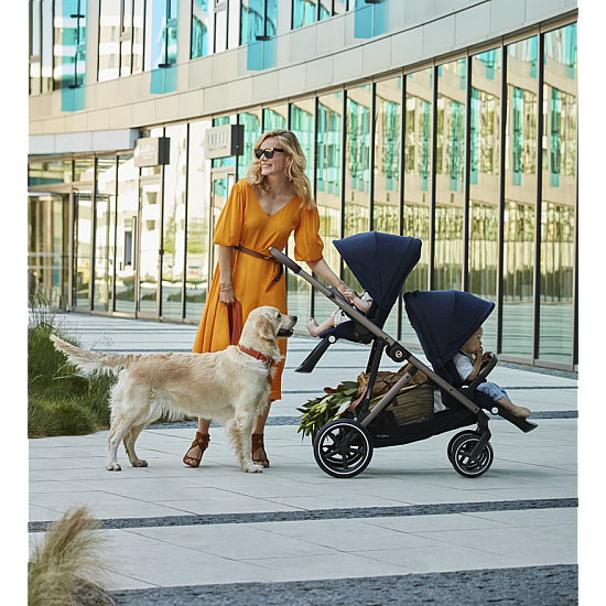 CYBEX Gazelle S Pastaigu Rati 2020 CYBEX Gazelle S Pastaigu Rati 2020